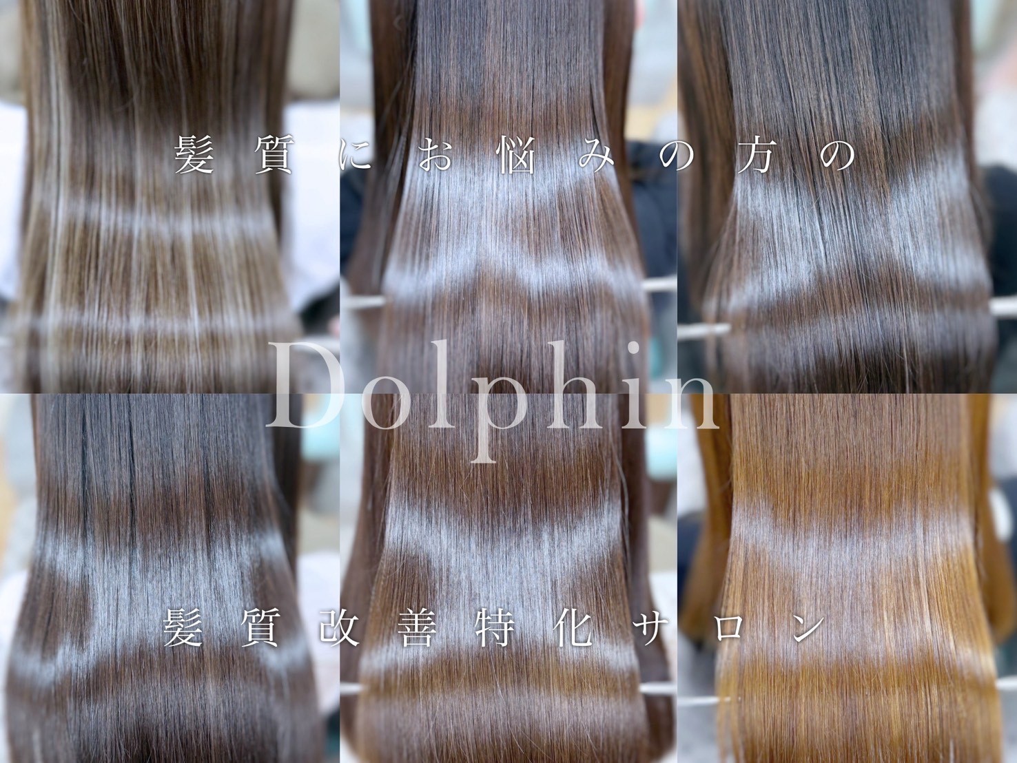 HAIR DESIGNERS CREW dolphin
